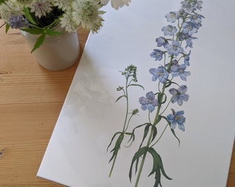 Delphinium Print / Delphinium Limited Edition Botanical Print A3 / Hand Signed Print / Giclée Print / Floral Print / Floral Wall Art