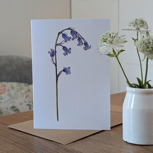 Kaart Bluebell / Engelse kaart Bluebell Botanical Flower / Britse kaart Bluebell / Kaart Lentebloemen / FSC blanco bloemenwenskaart