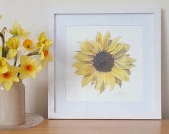 Sunflower Print / Sunflower Limited Edition Botanical Print / Square prints / Floral Giclée Print / Deborah Crago