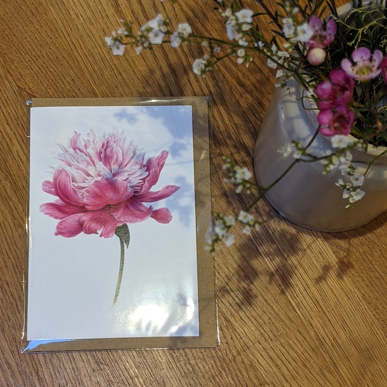 Peony Card / Peony Botanical Flower Card / Blank Card / Bowl of Beauty Peony / Deborah Crago image 4