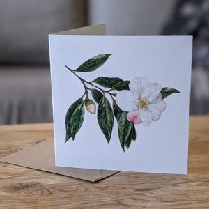 Camellia Card / Camellia Flower Greeting Card / Camellia 'Cornish Snow' Botanical Card / Blank FSC Greeting Card with Recycled envelope