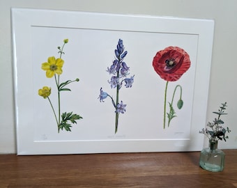 Wild Flowers Print / Limited Edition Botanical Print A3 / Giclée Print / Buttercup / Bluebell / Poppy / Deborah Crago