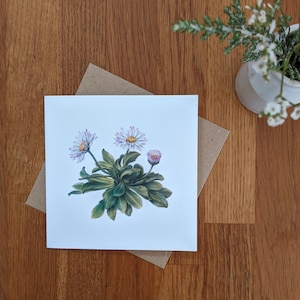 Daisy Card / Daisy Botanical Flower Card / Floral Greeting Card / FSC Blank Card / Deborah Crago