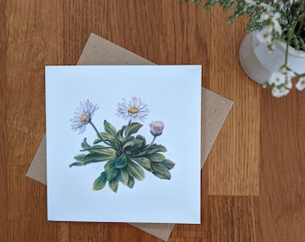 Daisy Card / Daisy Botanical Flower Card / Floral Greeting Card / FSC Blank Card / Deborah Crago