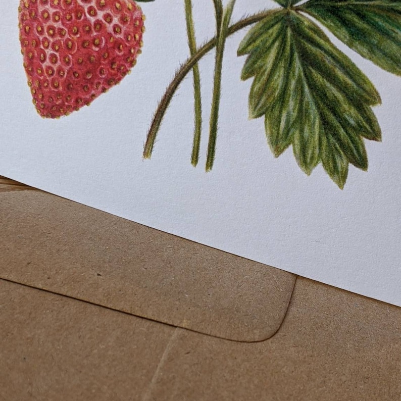 Strawberry Card / Strawberry Plant / Strawberry flower Card / Strawberry Botanical illustration / Blank FSC Card with Recycled envelope image 2