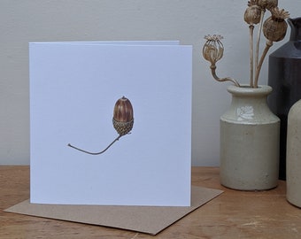 Acorn Card / Acorn Greeting Card / Thanksgiving Botanical Card / From Little Acorns Mighty Oaks Grow / Blank FSC card with Recycled Envelope