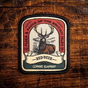 Mancha de ciervos rojos