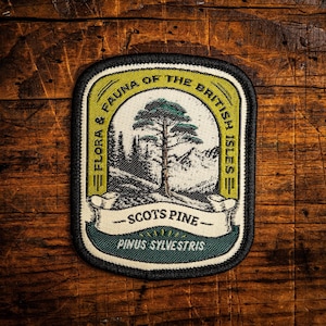 Scots Pine Aufnäher