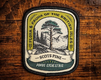 Scots Pine patch