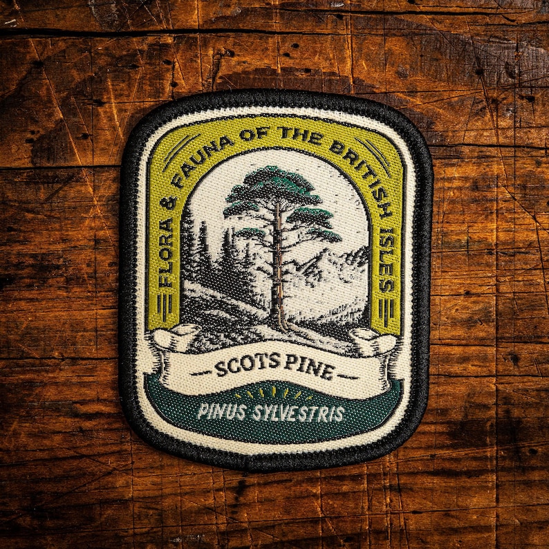 Scots Pine patch image 1