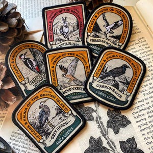 Puede incluir: Conjunto de diez parches bordados que representan diversas especies de vida silvestre brit&aacute;nicas, incluyendo una liebre de monta&ntilde;a, un &aacute;guila pescadora, un p&aacute;jaro carpintero moteado, un cern&iacute;calo vulgar, un cuervo com&uacute;n y una garza gris. Cada parche tiene un fondo beige con un borde marr&oacute;n y presenta el nombre del animal y su nombre cient&iacute;fico en texto negro.