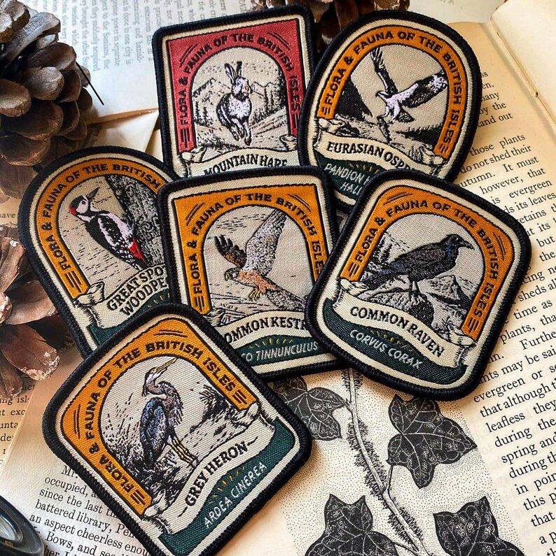 Puede incluir: Conjunto de diez parches bordados que representan diversas especies de vida silvestre brit&aacute;nicas, incluyendo una liebre de monta&ntilde;a, un &aacute;guila pescadora, un p&aacute;jaro carpintero moteado, un cern&iacute;calo vulgar, un cuervo com&uacute;n y una garza gris. Cada parche tiene un fondo beige con un borde marr&oacute;n y presenta el nombre del animal y su nombre cient&iacute;fico en texto negro.