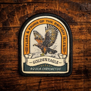 Toppa con aquila reale