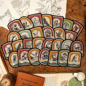 Pine Marten patch image 2