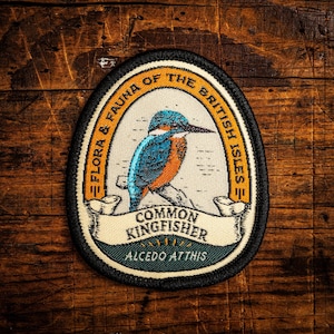 Gewone ijsvogelpatch