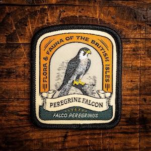 Écusson de faucon pèlerin