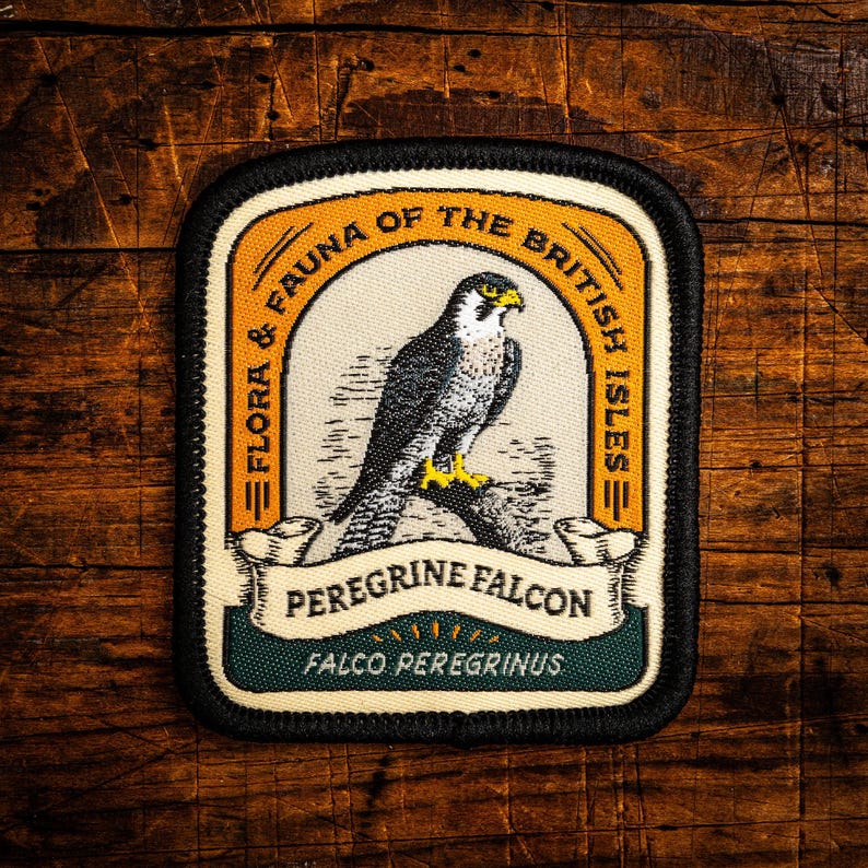 Peregrine Falcon patch image 1
