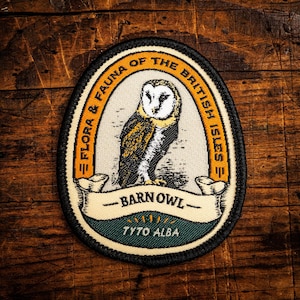 Barn Owl patch