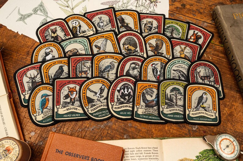 Parche de liebre de montaña imagen 5