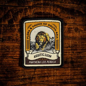 May include: A rectangular embroidered patch featuring a central illustration of an Asiatic lion. The border is black, with gold and cream accents. Text reads: FLORA & FAUNA OF SOUTH ASIA, ASIATIC LION, and PANTHERA LEO PERSICA in dark lettering.