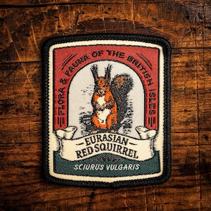 Eurasian Red Squirrel patch