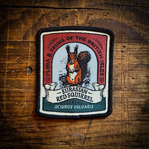 Euraziatische rode eekhoorn patch