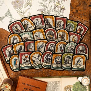 Parche de liebre de montaña imagen 3