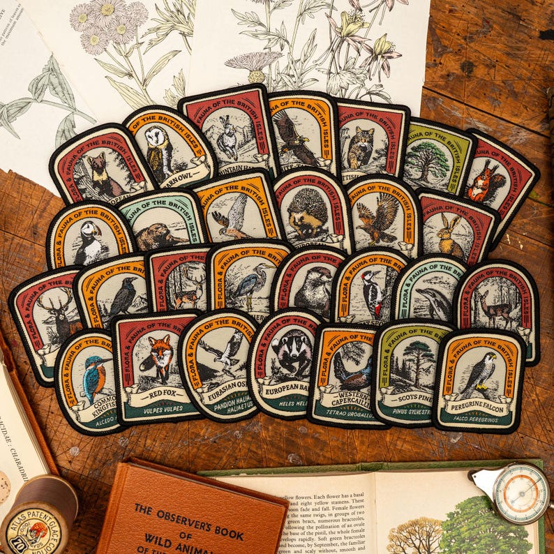 Parche de liebre de montaña imagen 3