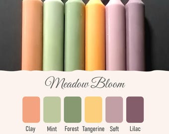 Meadow Bloom - Juego de 6 velas cónicas de cera natural