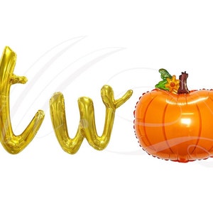 Globos de calabaza pequeña Banner de segundo cumpleaños de calabaza Decoración de fiesta de cumpleaños de calabaza pequeña Nuestra pequeña calabaza es dos Otoño 2do nacimiento