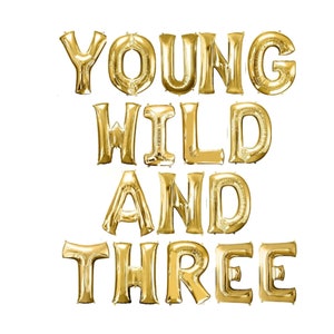 May include: Gold foil letter balloons spelling out "Young Wild And Three".