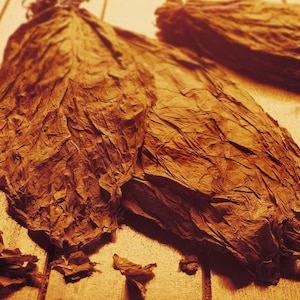 May include: Close-up of dried tobacco leaves, showing their brown, wrinkled texture. The leaves are arranged on a wooden surface.