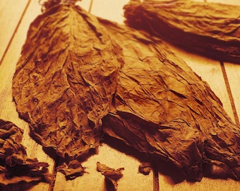 Sigarentabakzadenset - 3 topsoorten - Hav@na 263 - PA breedbladig - lang rood