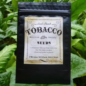 tobacco seeds for sale amazon nicotina tabacum (virgin tobacco) tobacco has a weed Tobacco Rarity Seeds (Organic) -