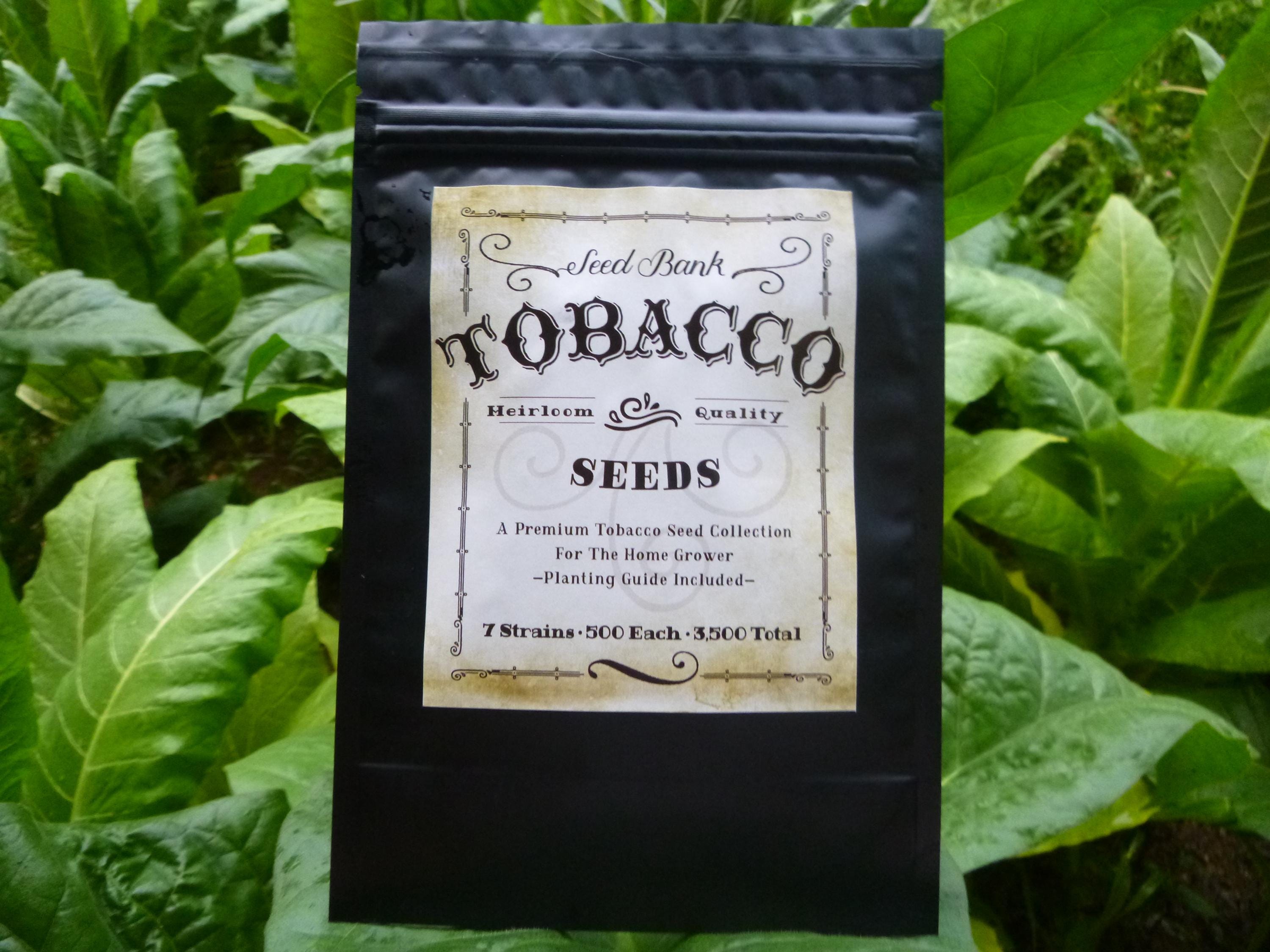 does tobacco slow down healing 5 Ways Smoking Can Affect The Wound Healing Process