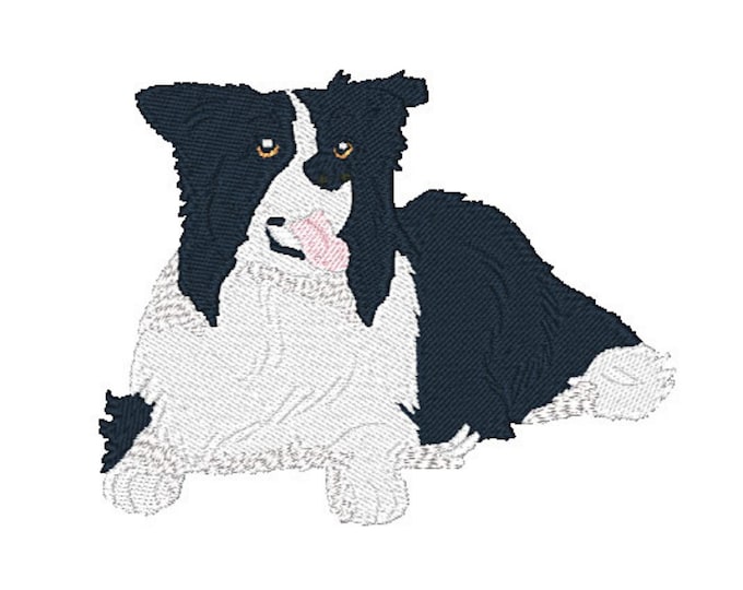 XXX-Realistic Border Collie Dogs, Machine Embroidery Designs, Set of Ten