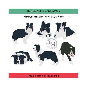 PES-realistische border collie-honden, machineborduurontwerp, set van tien