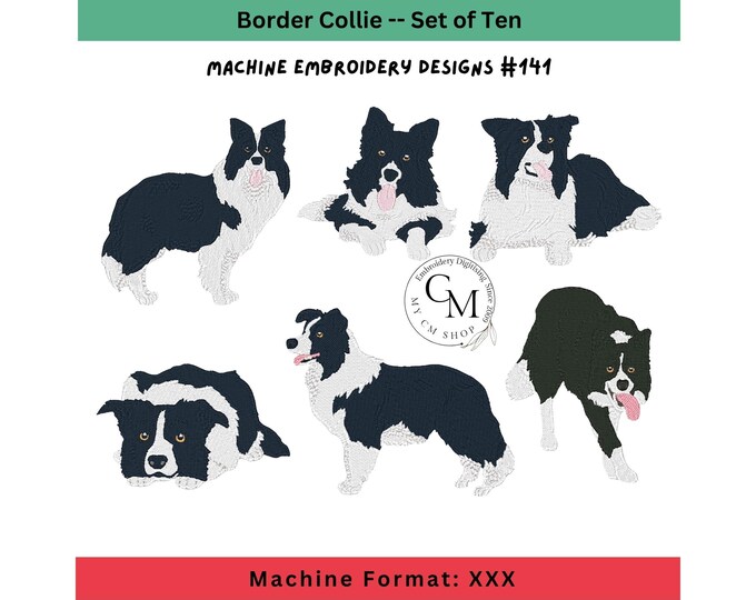 XXX-Realistic Border Collie Dogs, Machine Embroidery Designs, Set of Ten