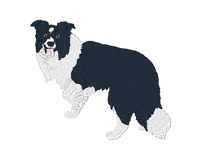 DST-Realistic Border Collie Dogs, Machine Embroidery Designs, Set of Ten