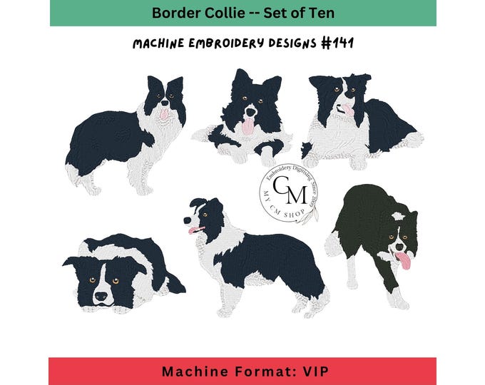 VIP - Realistic Border Collie, Machine Embroidery Design, Set of Ten, vip FORMAT
