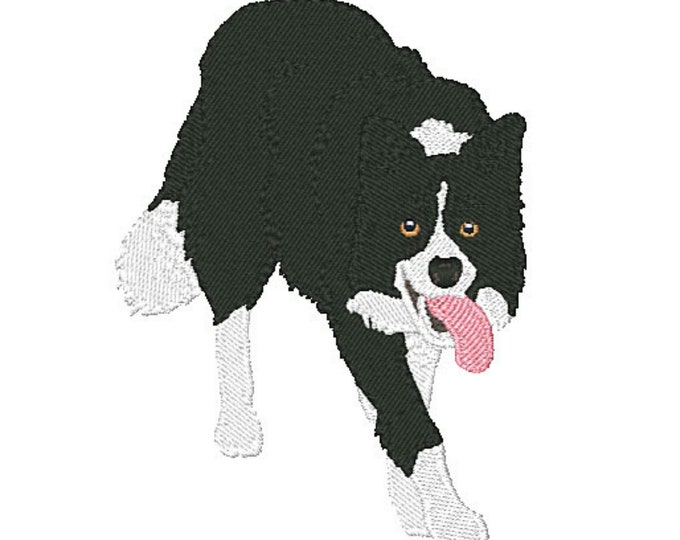 EXP-Realistic Border Collie Dogs, Machine Embroidery Designs, Set of 10