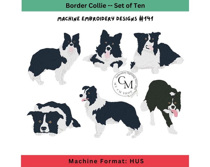 HUS-Realistic Border Collie Dogs, Machine Embroidery Designs, Set of Ten