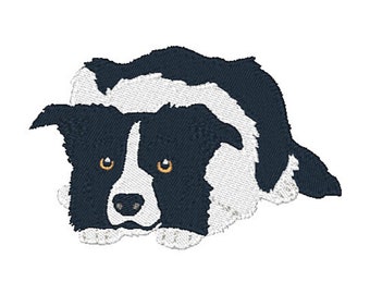 HUS-Realistic Border Collie Dogs, Machine Embroidery Designs, Set of Ten