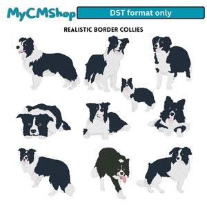 DST-Realistic Border Collie, Collie Dog Embroidery Designs