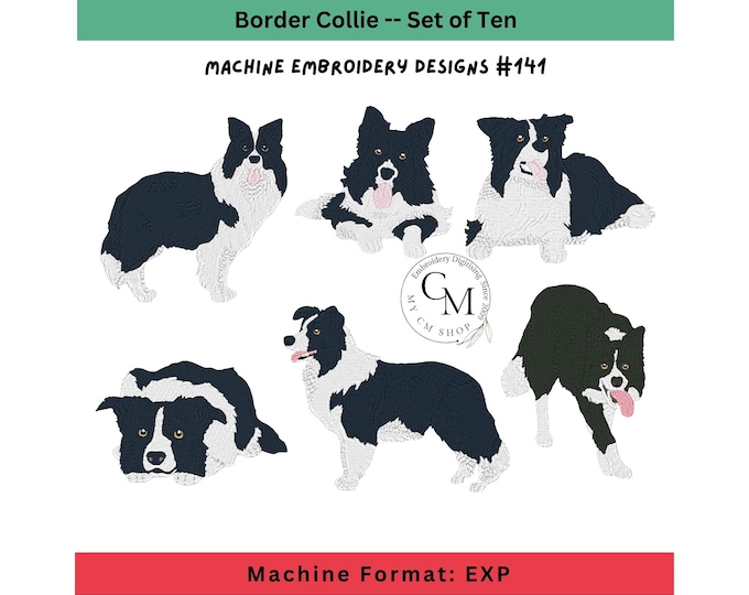 EXP-Realistic Border Collie Dogs, Machine Embroidery Designs, Set of 10