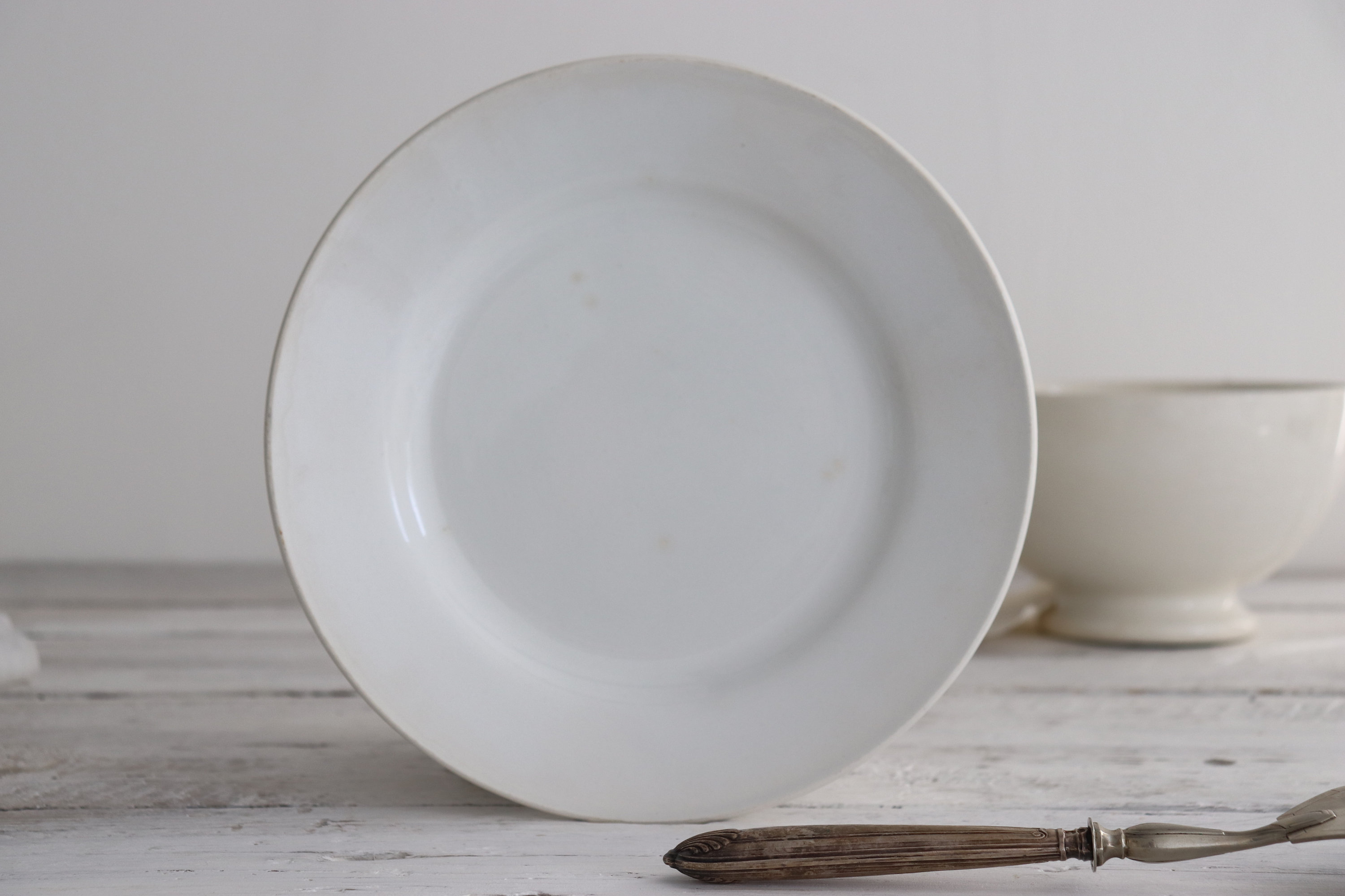 Digoin Sarreguemines Plaque de Fer Blanche.