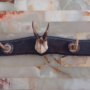 May include: A wooden wall-mounted coat rack with four antler hooks. The rack is dark brown and has a rustic look.