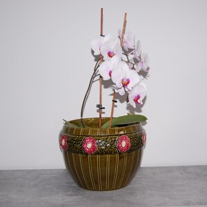 Könnte beinhalten: Eine Topf-Orchidee mit weißen und lila Blüten. Die Pflanze steht in einem grünen Keramiktopf mit vertikalen Linien und einem Band roter Blumen. Der Topf steht auf einer grauen Oberfläche.