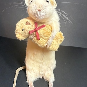 MADE TO ORDER: Teddy Bear Mouse