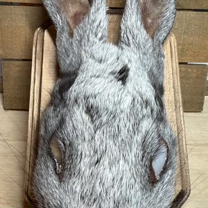 Bunny Head Plaque